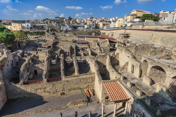 Skip-the-Line Private Pompeii & Herculaneum Tour with Local Guide - Why the Private Guide Enhances the Experience