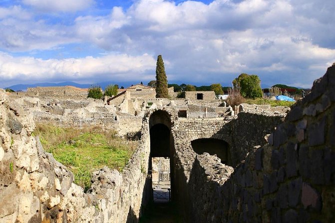 Skip-the-line Private Tour of Pompeii for Kids and Families - Admiring the Beauty of Casa del Menandro