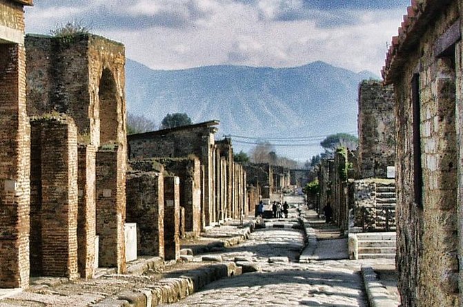 Skip the line Private tour of Pompeii from Sorrento - Key Points