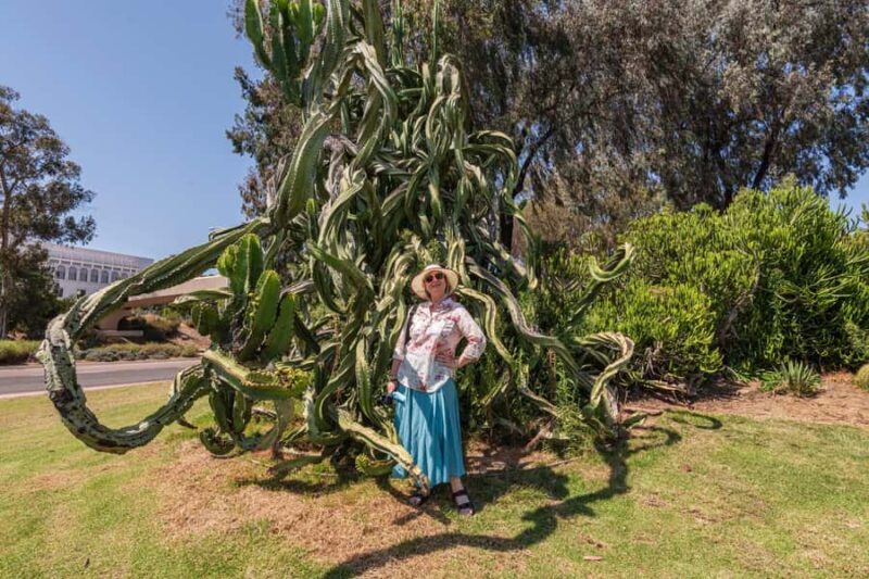 Skip-the-line San Diego Museum of Art Private Guided Tour - The Value of a Private Guided Art Tour in San Diego