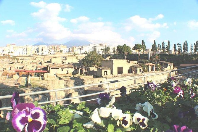 Skip-the-line Shore Excursion from Naples Cruise Port to Pompeii & Herculaneum - Key Points