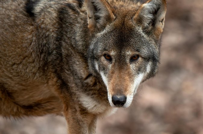 Skip the Line: Virginia Living Museum Admission Ticket - The Museums Indoor and Outdoor Highlights