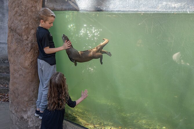 Skip the Line: Virginia Living Museum Admission Ticket - Real Experiences and Visitor Feedback