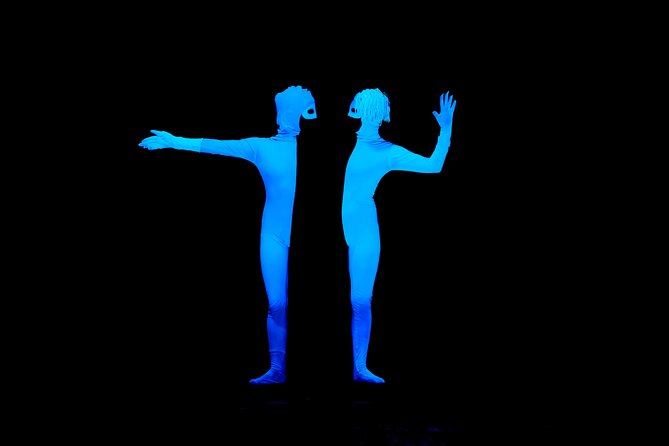 Skip the Line: WOW Show Black Light Theater in Prague Ticket - What the Performance Entails: A Visual Journey Without Words