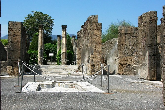 Skip-the-lines Private Tour of Pompeii Including the Theatre the Forum and all Highlights - Why This Tour Stands Out in Pompeii