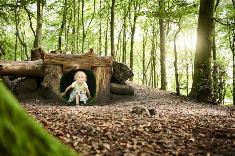 Skjern: WOW PARK Entry Ticket - Explore the Excitement of WOW PARK in Skjern for $35