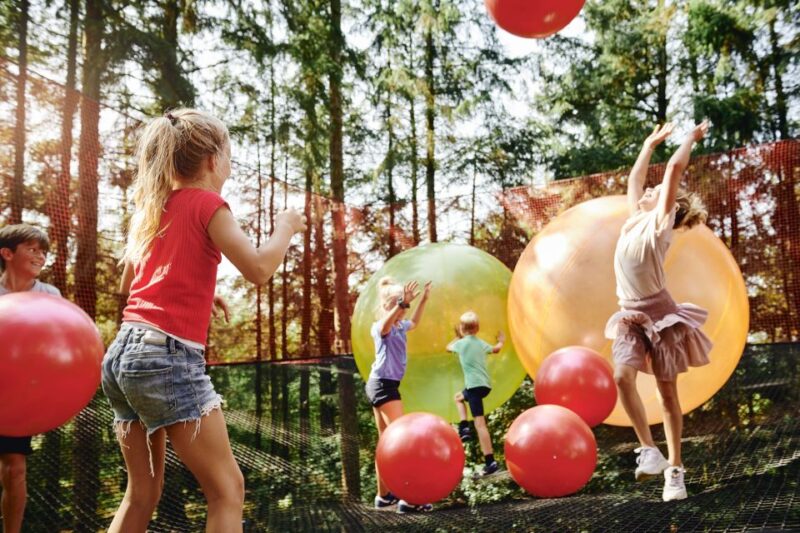 Skjern: WOW PARK Entry Ticket - Visiting Logistics and Booking