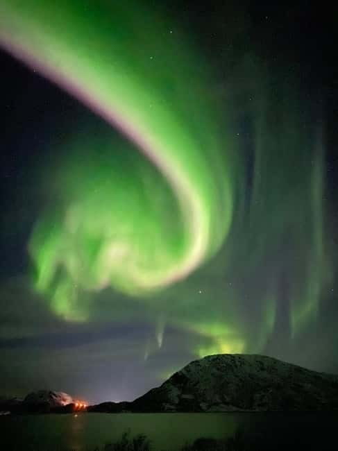 Skjervøy,North of Tromsø:Northern Lights Stargazing(Minivan) - Why This Tour Stands Out in Arctic Night Sky Tours