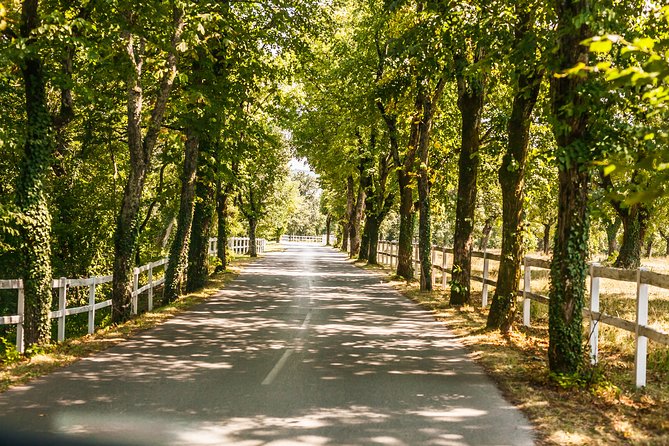 Skocjan caves, Piran & Predjama castle | Private trip from Ljubljana - Visiting Predjama Castle: The Cave Fortress