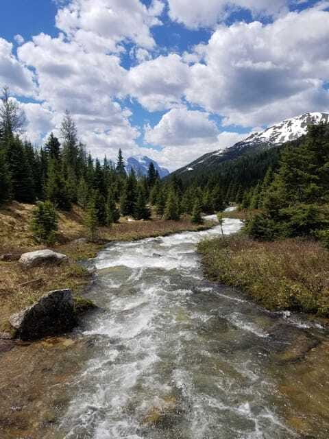 Skoki Lake Louise Daily Guided Hike in the Canadian Rockies - Guide Expertise and Experience