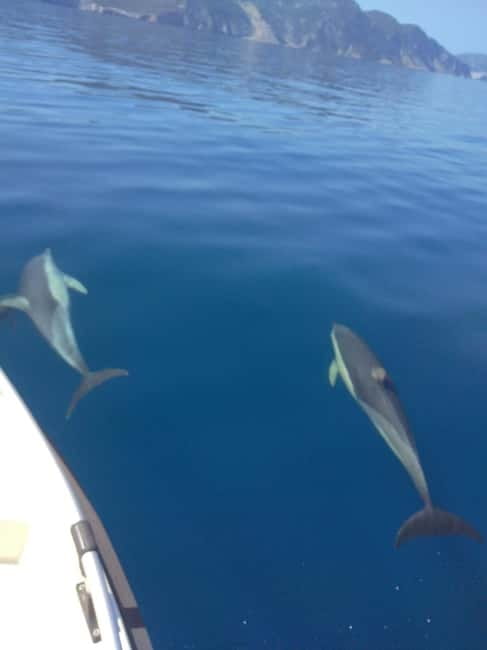 Skopelos: Private cruise to Alonissos and Marine Park - Exploring Sea Caves and Capturing Stunning Photos