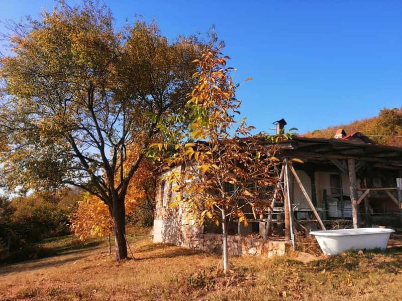 Skopje: Brodec  Spirova Hut  Crn Kamen Hike Tour - The Logistics and Cost