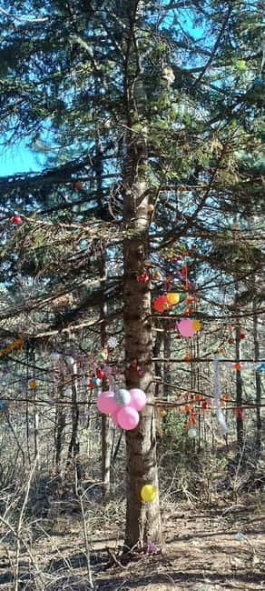 Skopje Hike: Millennium Cross Adventure - Frequently Asked Questions