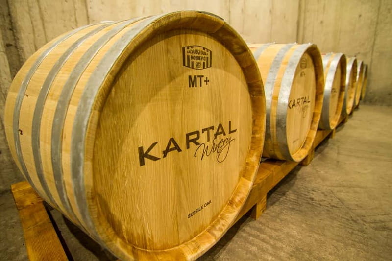 Skopje: Kartal Winery Tour - A Close-Up Look at the Winery Tour Itself
