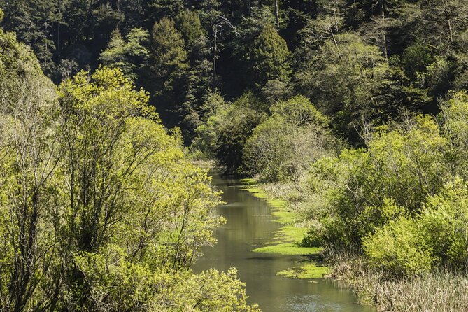 Skunk Train: Pudding Creek Express from Fort Bragg - Starting Point and Logistics in Fort Bragg