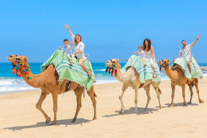 Sky Bike Adventure with Free Camel Ride and Horseback Riding - Pick-up and Drop-off at Your Hotel in Cabo San Lucas