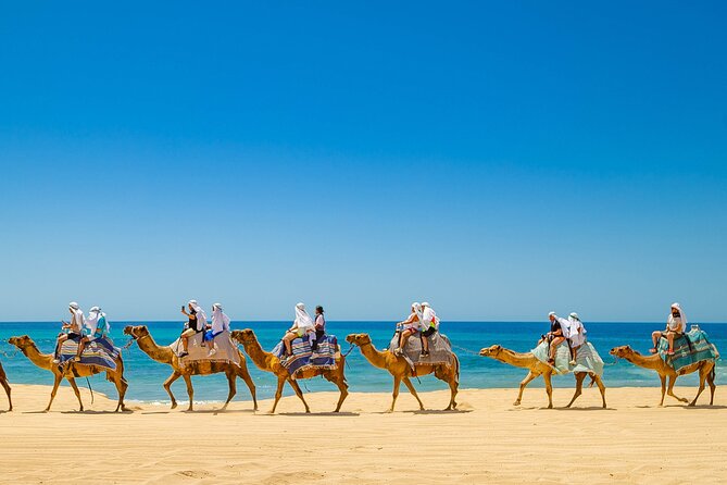 Sky Bike Adventure with Free Camel Ride and Horseback Riding - Horseback Riding by the Sea: Gentle Equine Excursions