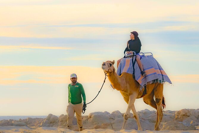 Sky Bike Free Camel Ride and Horseback Riding - Starting Point at Cactus Tours in Cabo San Lucas
