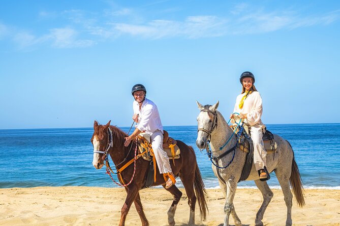 Sky Bike Free Camel Ride and Horseback Riding - Tequila Tasting: Savoring Mexican Spirit