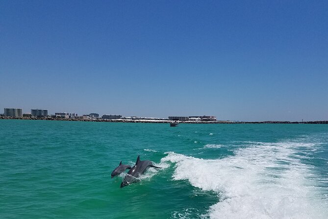 Sky High Parasailing From Marina Cafe - Destin Florida - Family-Friendly Parasailing Experiences