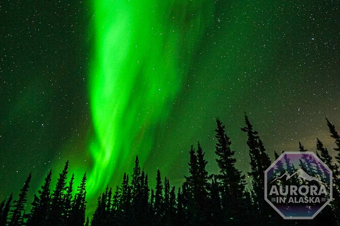 SkyChase Northern Lights Experience - Campfire Meals and Refreshments in the Alaskan Wilderness