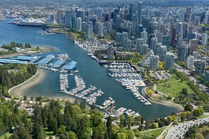 Skyline and Suspension Bridge Adventure Tour - Who Would Enjoy This Tour the Most?