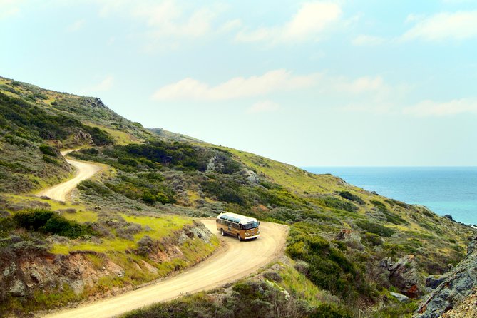 Skyline Drive: Catalina Inland Tour - Explore Catalina Island’s Wilderness on the Skyline Drive Tour