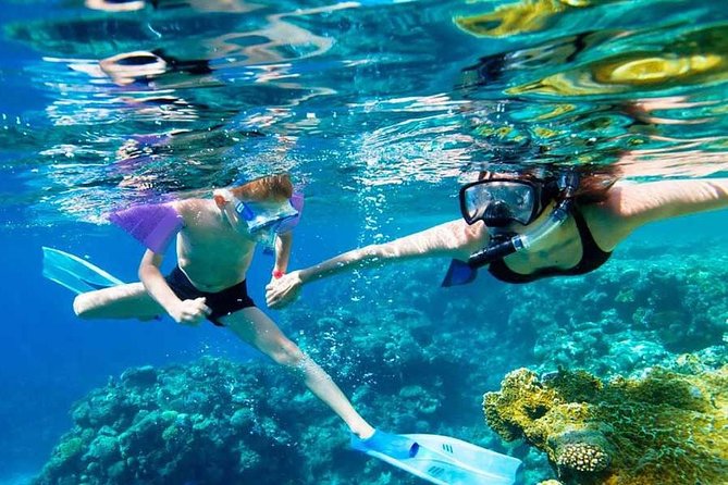 SkyReef Cozumel Snorkel & Tequila Tasting - Key Points