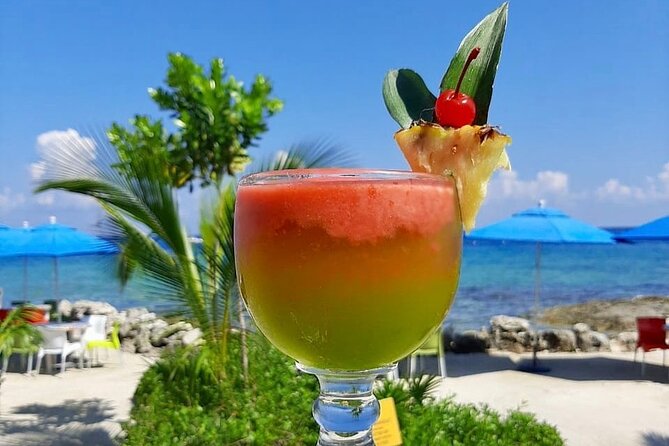 SkyReef Cozumel Snorkel & Tequila Tasting - The Guides and Service