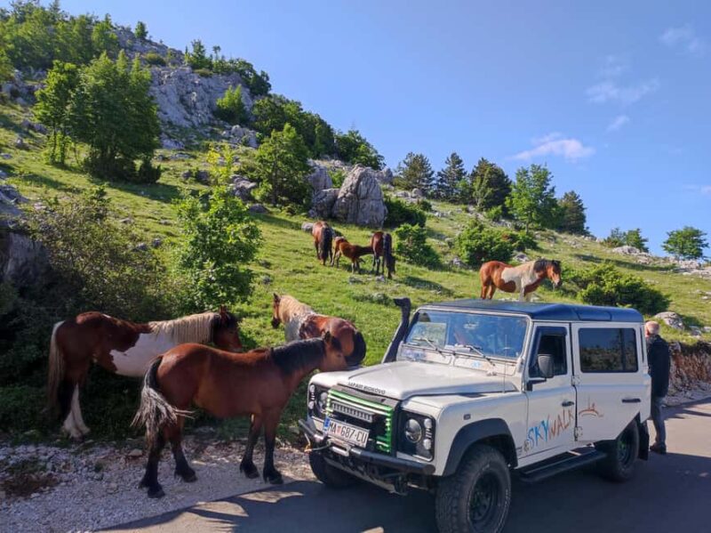 Skywalk (1228 m.) and St. George (1762 m.) ECO TOUR - Key Points