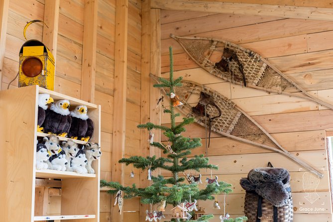 Sled Dog Adventure and Pan for Gold in the Yukon - Key Points