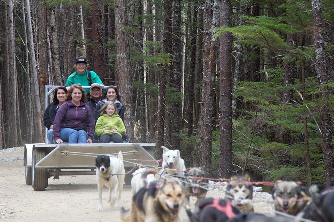 Sled Dog Adventure in Skagway - Expert Guides and Personalities