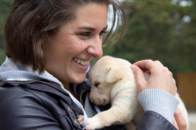 Sled Dog Adventure in Skagway - Weather and Cancellation Policies