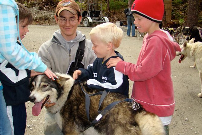 Sled Dog Discovery in Juneau - Key Points