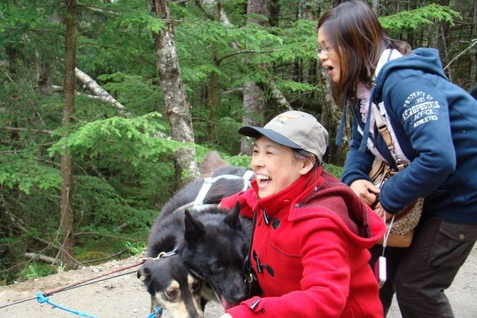 Sled Dog Discovery in Juneau - Practical Details and Group Size