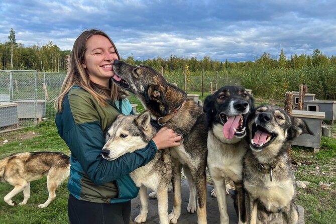Sled Dog Kennel Tour - Key Points