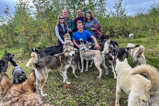Sled Dog Kennel Tour - Discover Susitna Sled Dog Adventures in Talkeetna