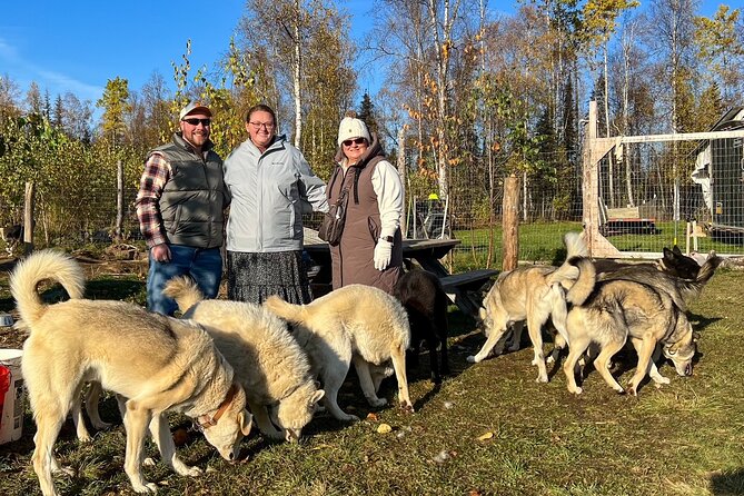 Sled Dog Kennel Tour - Practical Details: Meeting Point and Group Size