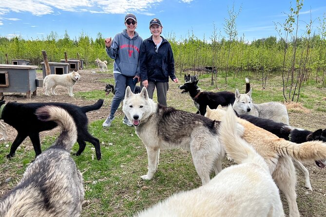 Sled Dog Kennel Tour - Sled Dog Kennel Tour in Talkeetna: A Genuine Alaskan Encounter