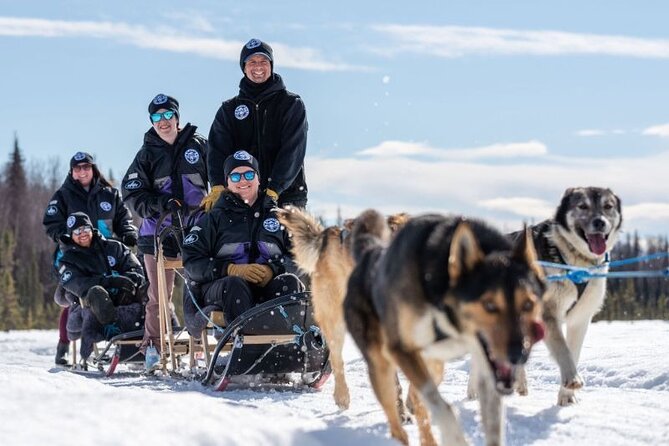 Sled Dog Ride and Scenic Drive from Anchorage - What’s Included in the Tour: All the Essentials
