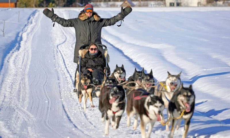 SLED DOG TOUR AND KENNEL VISIT & WITH OVERNIGHT STAY - Key Points
