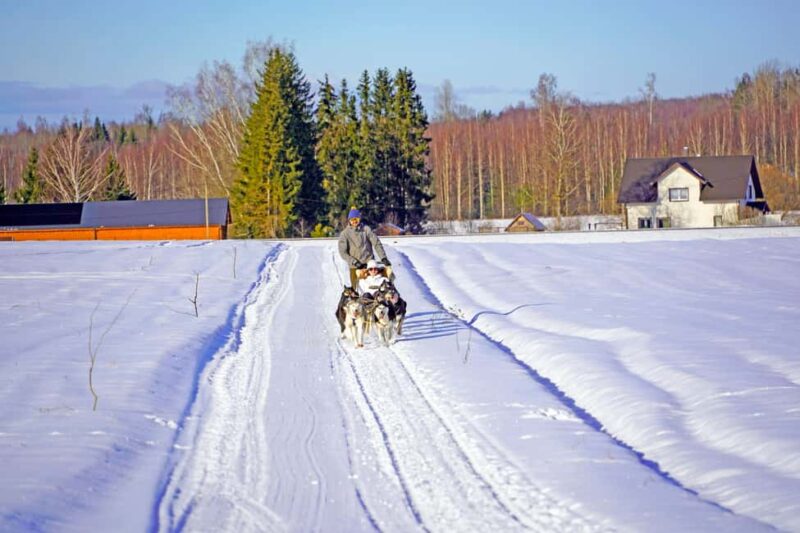 SLED DOG TOUR AND KENNEL VISIT & WITH OVERNIGHT STAY - A Walk and Photo Session with Siberian Huskies