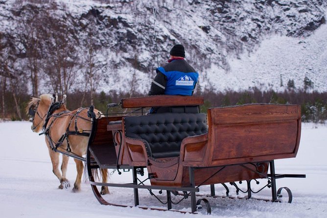 Sleigh or wagon ride in the arctic Country side - Key Points