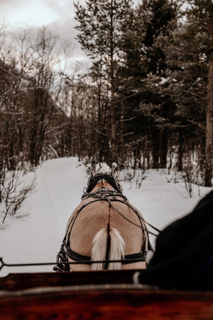 sleigh ride and dining experience - Key Points