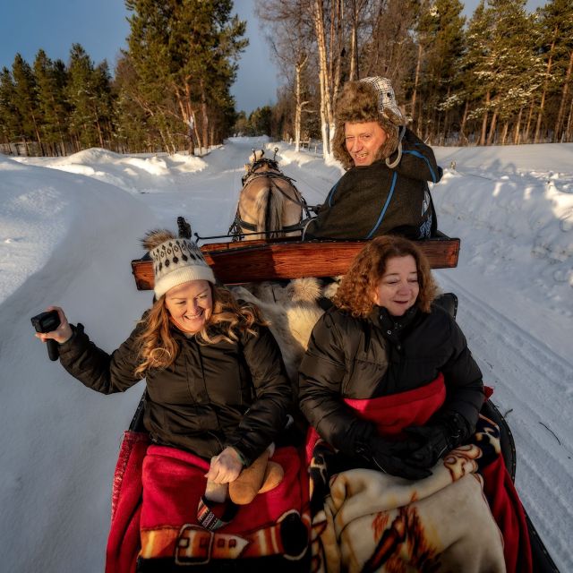sleigh ride and dining experience - Experience a Cozy Sleigh Ride in the Norwegian Arctic