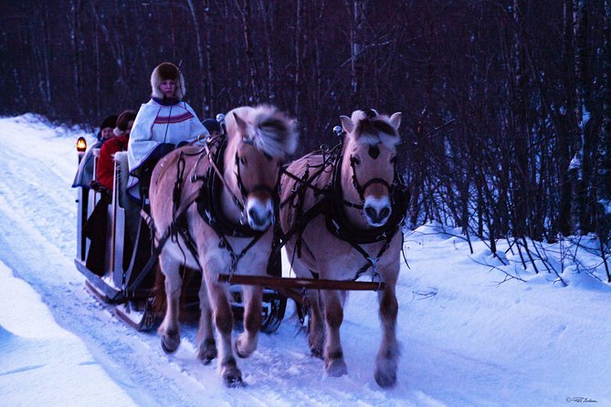 Sleigh Ride w/ snacks - Experience Arctic Farm Life - Starting Point and Transportation from Alta