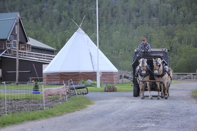 Sleigh Ride w/ Tapas Meal - Experience Arctic Farm Life - The Sami Lavvu and Tapas Meal Experience