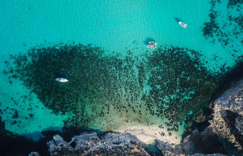 Sliema/St. Paul's: Gozo, Comino & Blue Lagoon Ferry Cruise - Logistics: How the Tour Runs