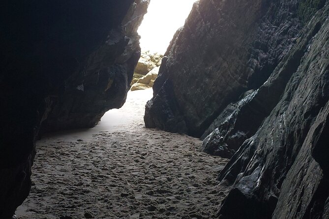 Slieve League Cliffs Donegal Tour from Galway - Killybegs Harbour: Ireland’s Largest Fishing Port