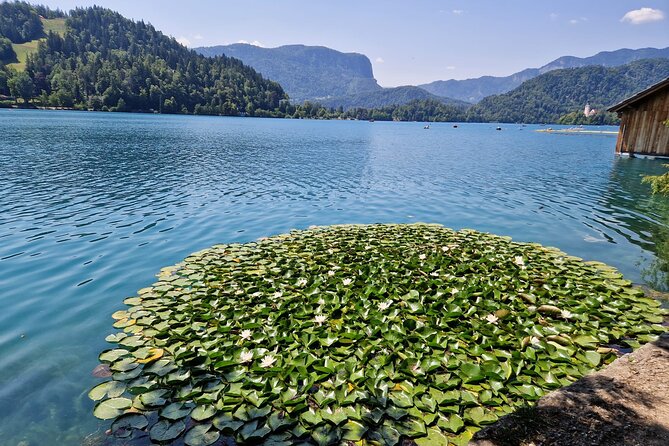 Slovenia's highlights: Bled lake and Ljubljana Full-Day Private Tour from Zagreb - Practical Details: Comfort, Flexibility, and Customer Service